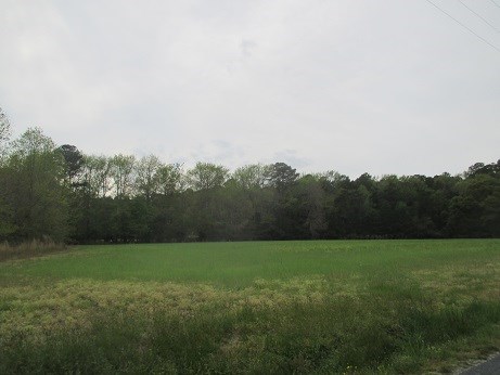 5205 Saltworks Road, Unit 1 2 Exmore, VA 23350 - Photo 3 of 6