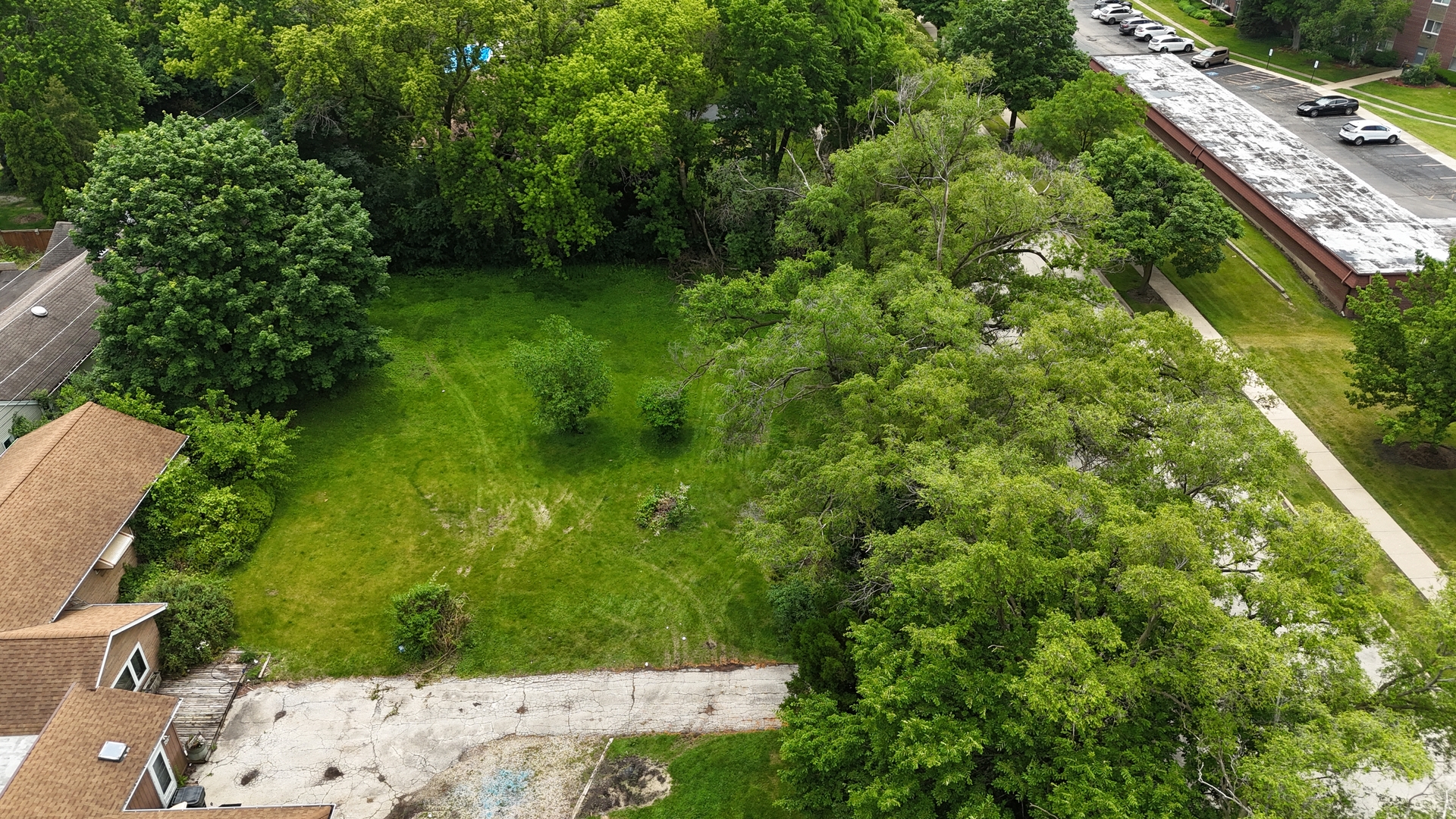 1017 South Ridge Avenue Arlington Heights, IL 60005 - Photo 7 of 12