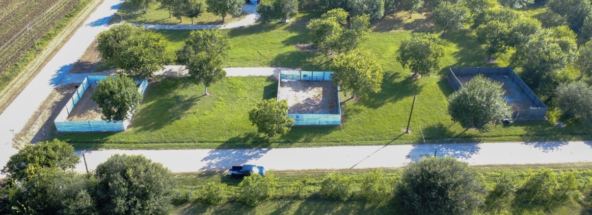 9002 Grunwald Road Beasley, TX 77417 - Photo 4 of 4