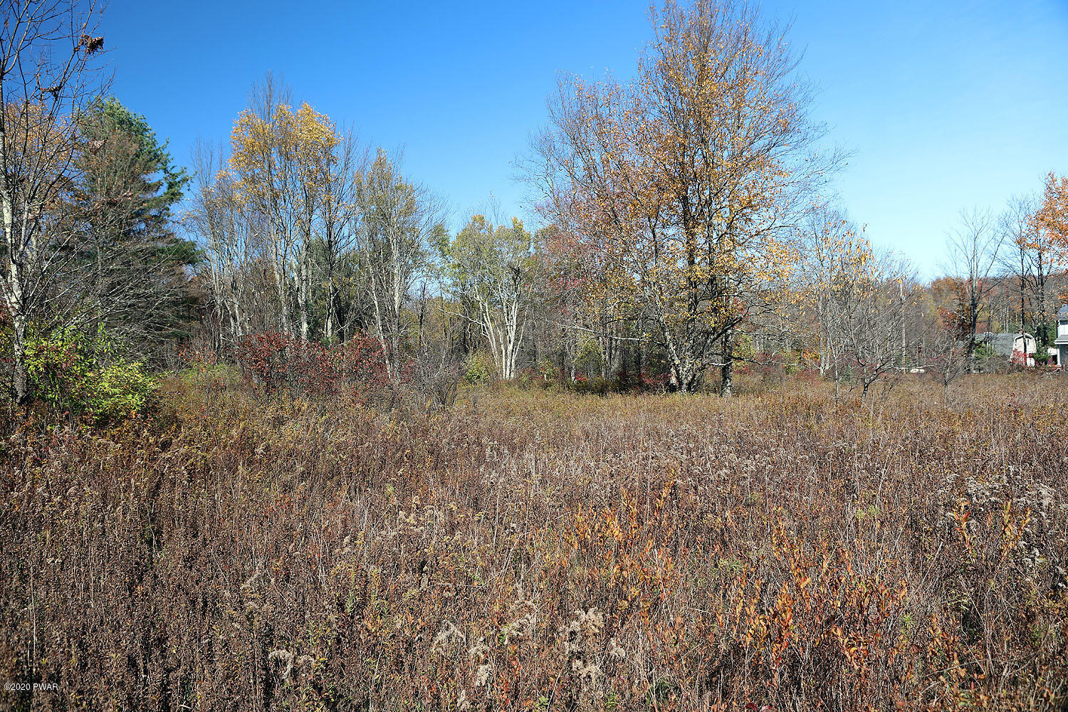 0 Bush Road Equinunk, PA 18417 - Photo 18 of 48 314A3189