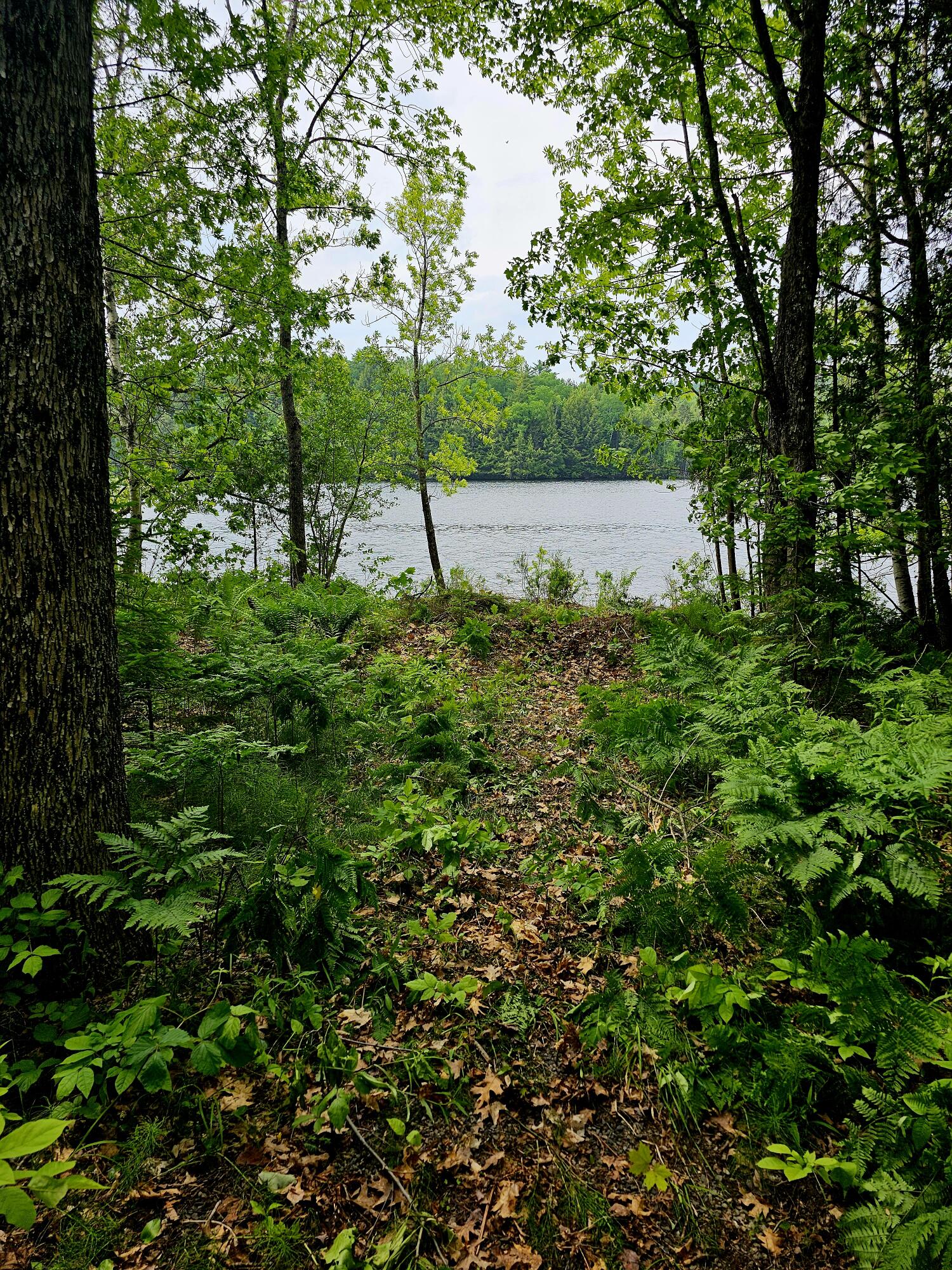 1676 Medway Road Medway, ME 04460 - Photo 60 of 67 20230613_104851(0)