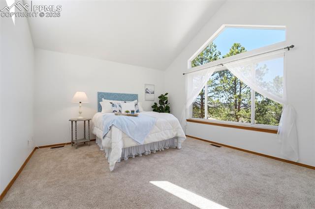 1100 Pine Ridge Road Woodland Park, CO 80863 - Photo 14 of 49