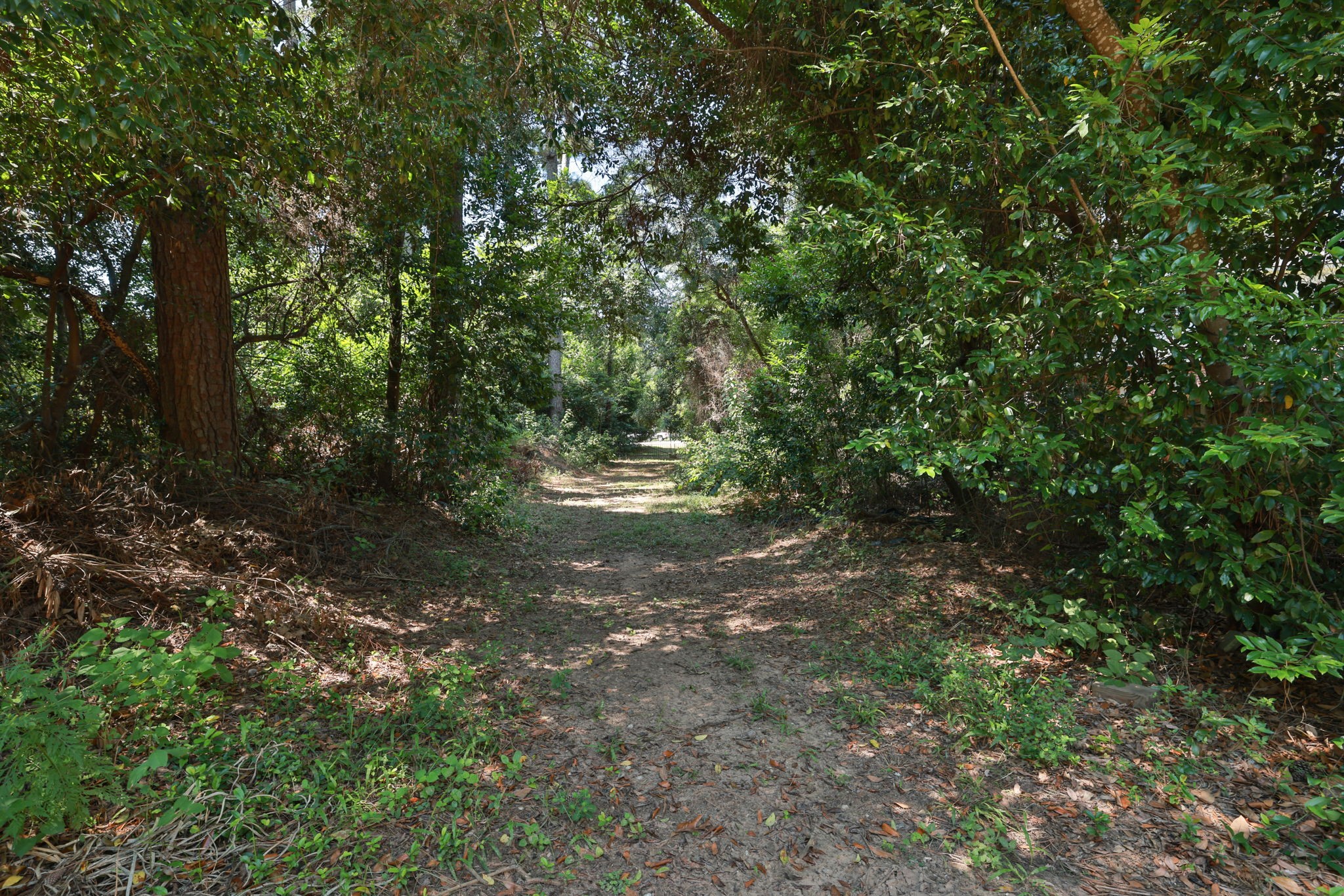 3018 McDonald Lane Spring, TX 77380 - Photo 44 of 48 a view of outdoor space and trees