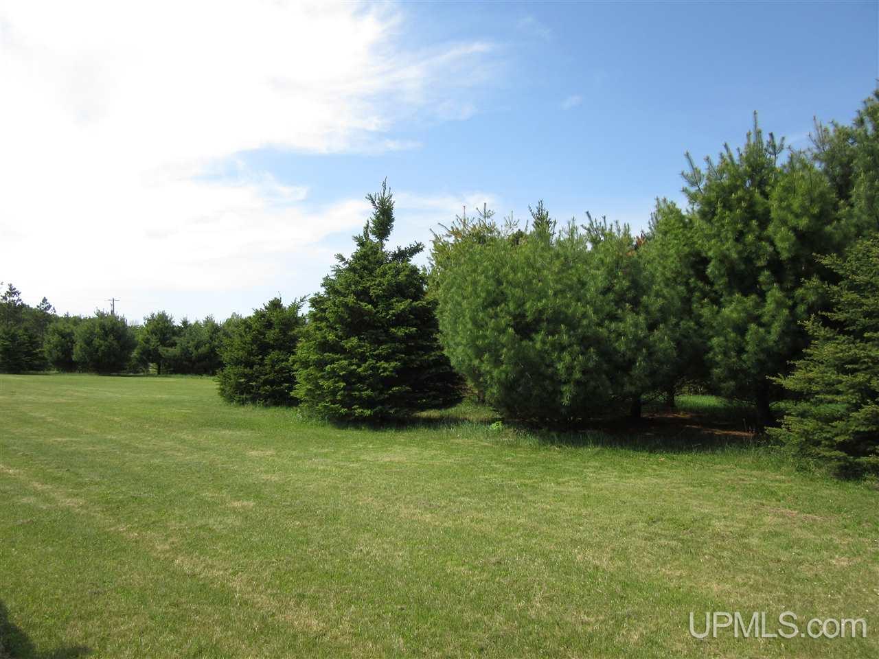 2906 River Road Gulliver, MI 49840 - Photo 15 of 37 Gallery Image 15