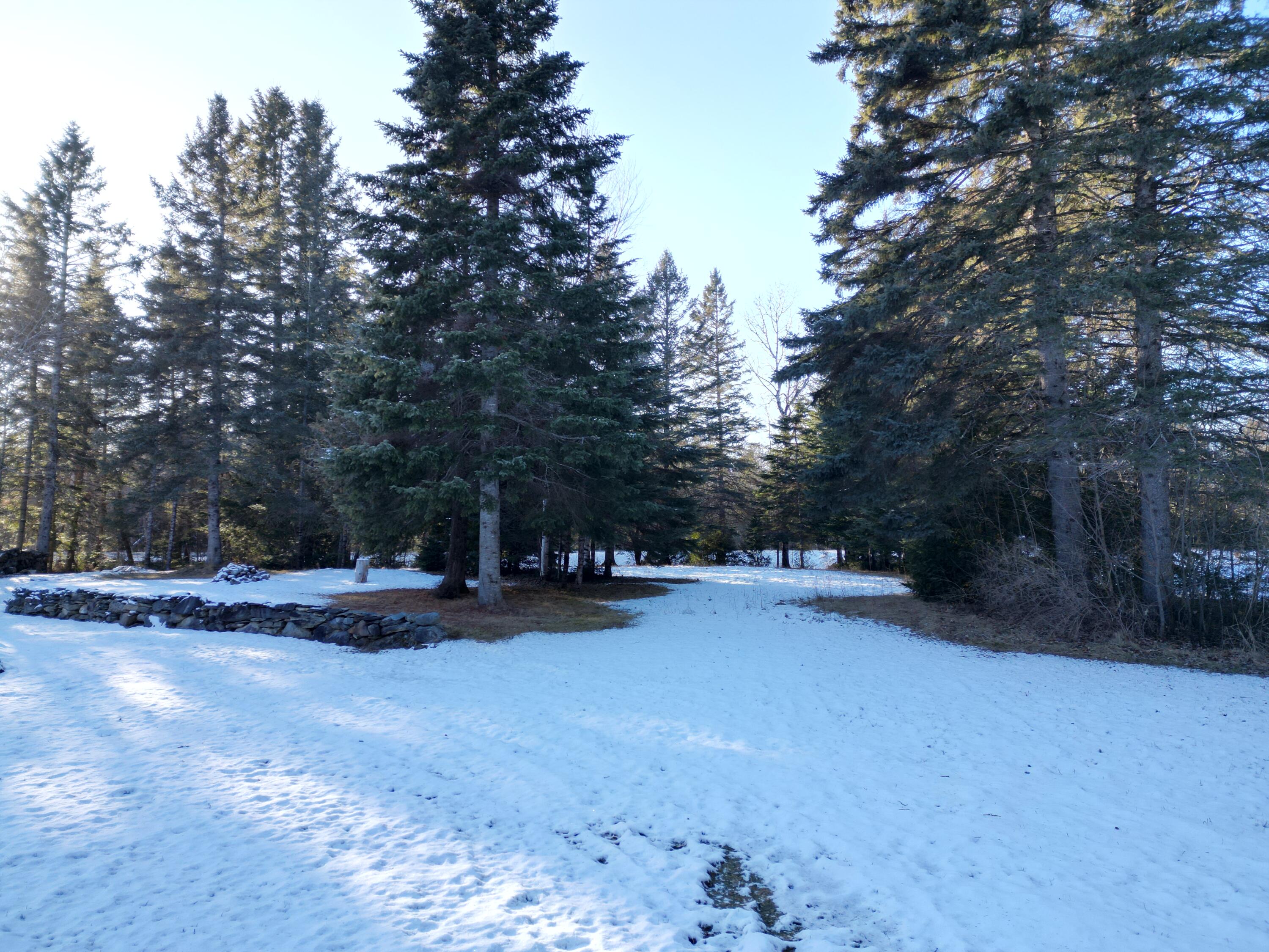 923 Sherman Station Road Stacyville, ME 04777 - Photo 43 of 58 DJI_0003