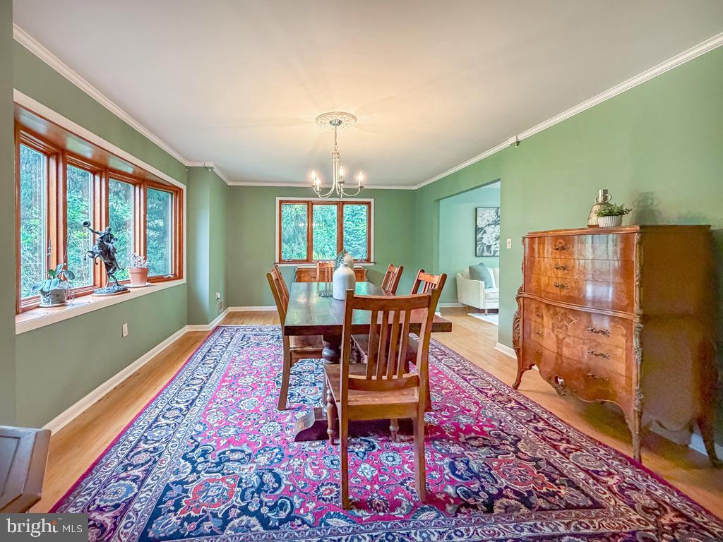 249 Forrest Road Yardley, PA 19067 - Photo 15 of 36 Living Room