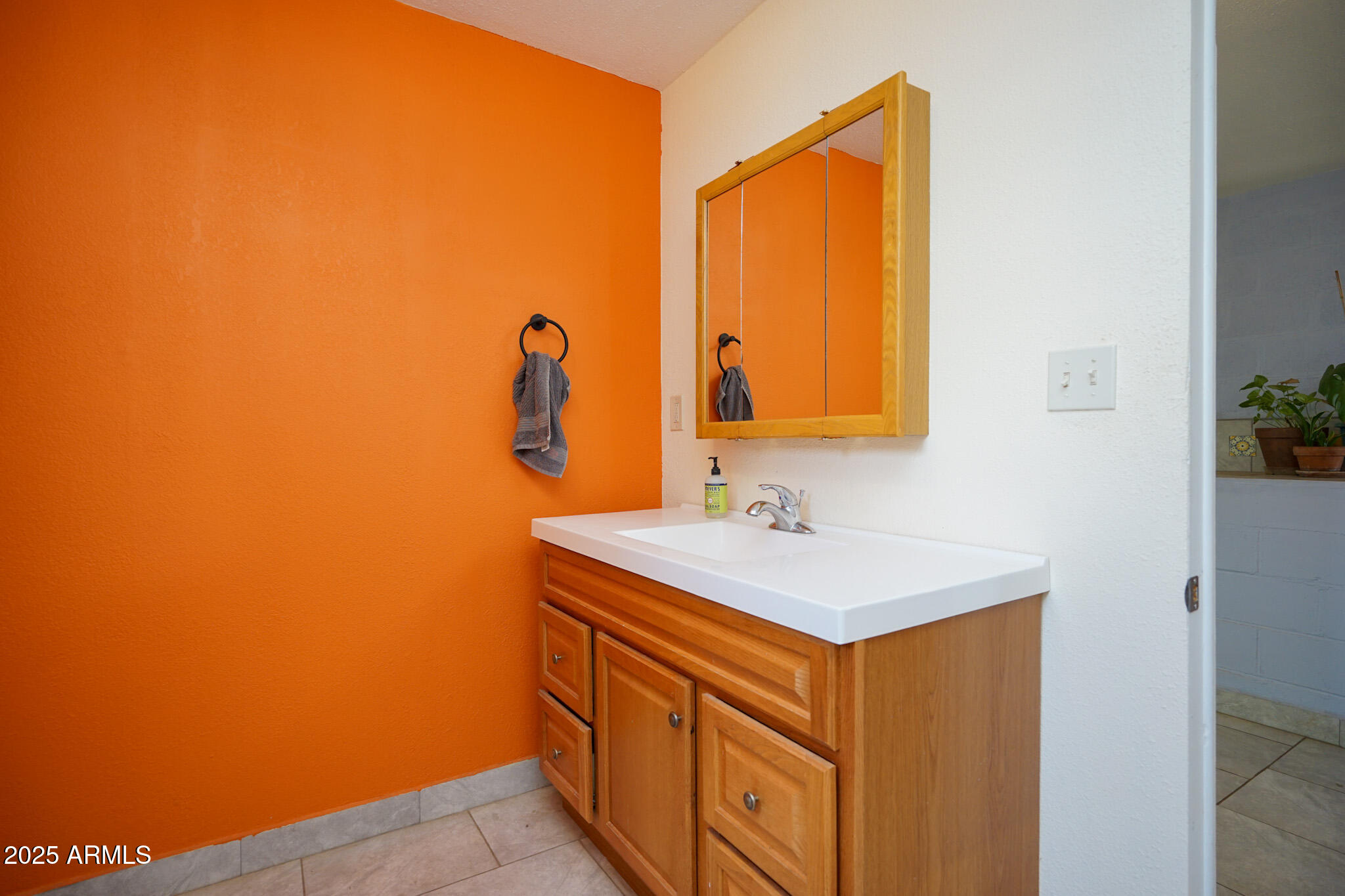 4679 West Prince Road McNeal, AZ 85617 - Photo 11 of 39 Bathroom 1