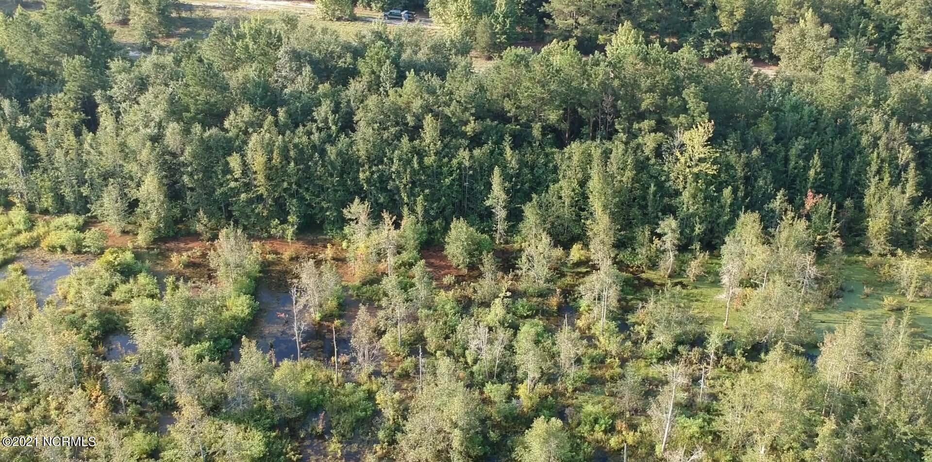 0 Buckle Road Currie, NC 28435 - Photo 11 of 12 hunting camp 3