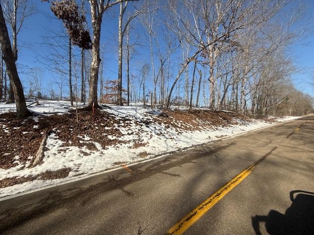4 State Route 225 Road Henderson, TN 38340 - Photo 1 of 13 View of street