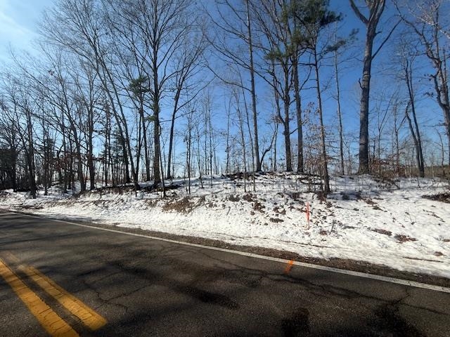 4 State Route 225 Road Henderson, TN 38340 - Photo 11 of 13 View of street