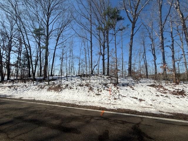 4 State Route 225 Road Henderson, TN 38340 - Photo 12 of 13 View of street