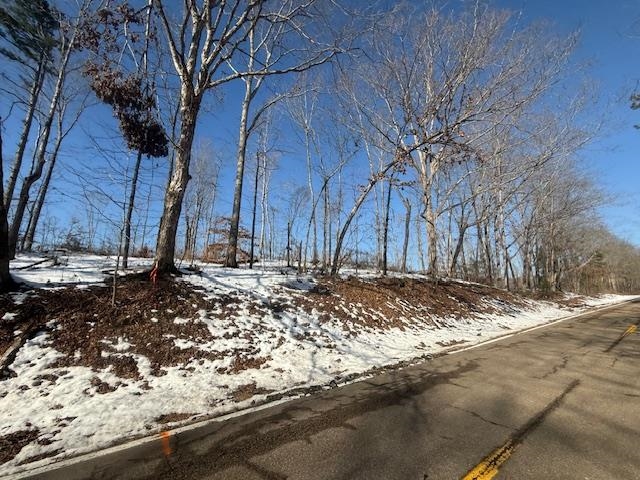 4 State Route 225 Road Henderson, TN 38340 - Photo 2 of 13 View of street