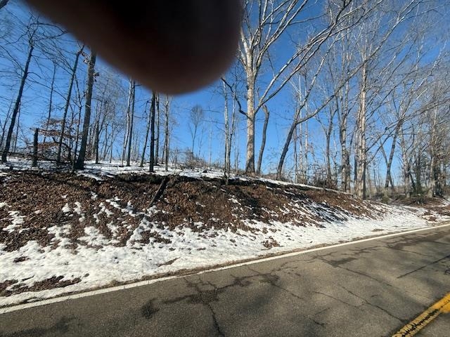 4 State Route 225 Road Henderson, TN 38340 - Photo 3 of 13 View of road