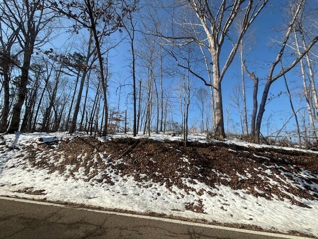 4 State Route 225 Road Henderson, TN 38340 - Photo 4 of 13 View of snow covered land