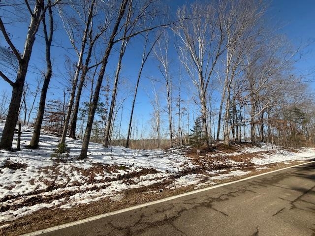 4 State Route 225 Road Henderson, TN 38340 - Photo 6 of 13 View of street