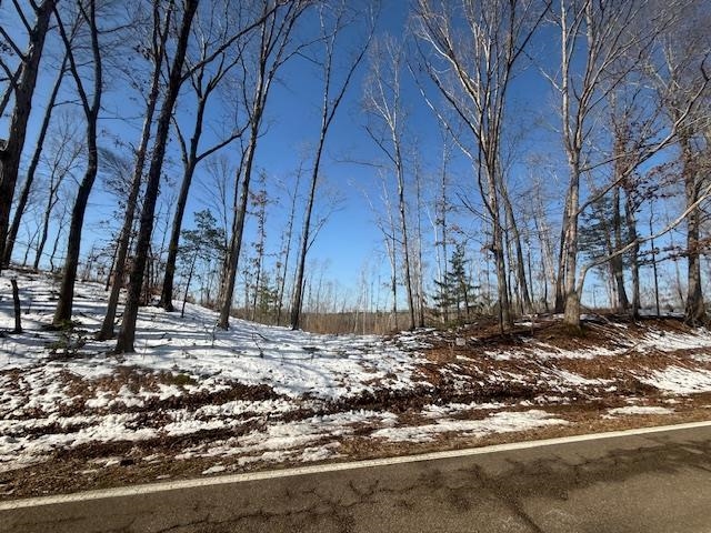 4 State Route 225 Road Henderson, TN 38340 - Photo 8 of 13 View of snowy landscape
