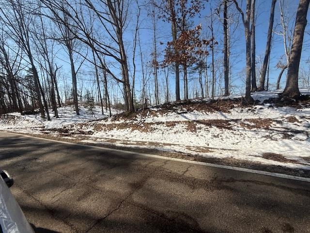 4 State Route 225 Road Henderson, TN 38340 - Photo 10 of 13 View of road