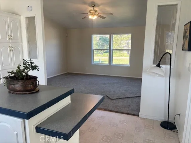 a bathroom with a bathtub and a potted plant