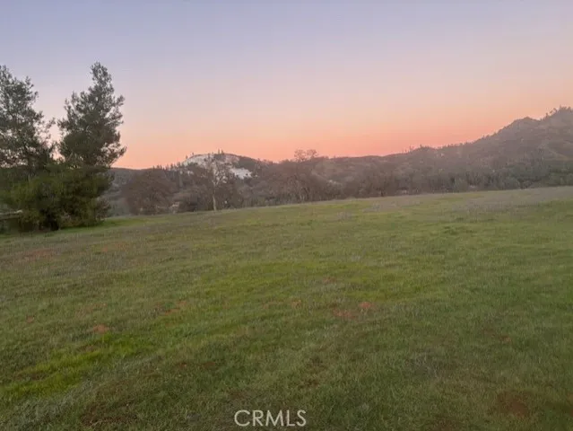 a view of an ocean from a yard