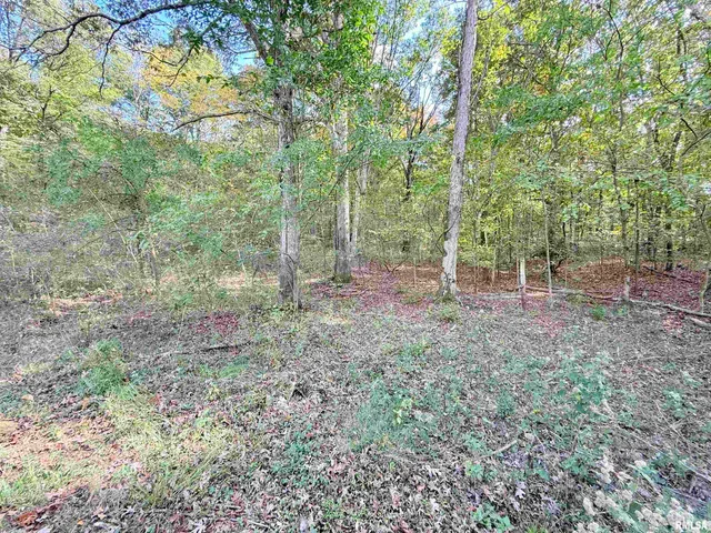 $234,000 | 8375 Highway 145, Harrisburg, IL 62946