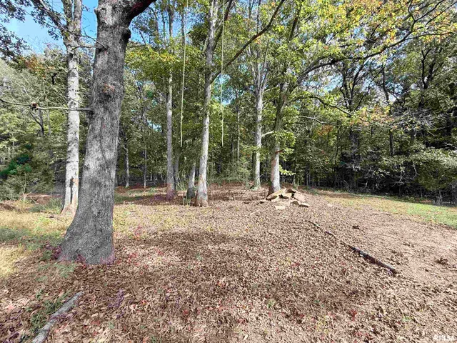 $234,000 | 8375 Highway 145, Harrisburg, IL 62946