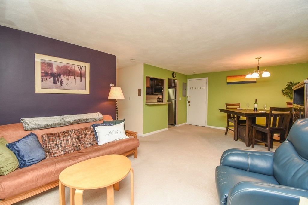 18 Hamilton Road, Unit 306 Arlington, MA 02474 - Photo 7 of 24 Gallery Image 7