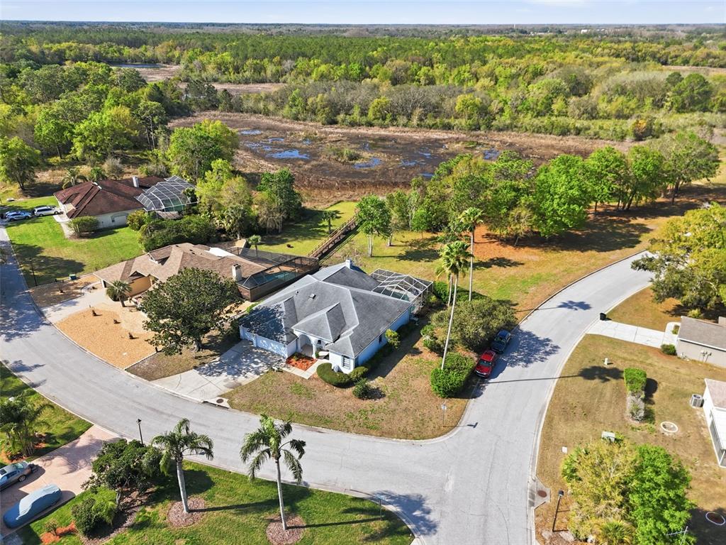 12455 Quail Ridge Drive Spring Hill, FL 34610 - Photo 10 of 67