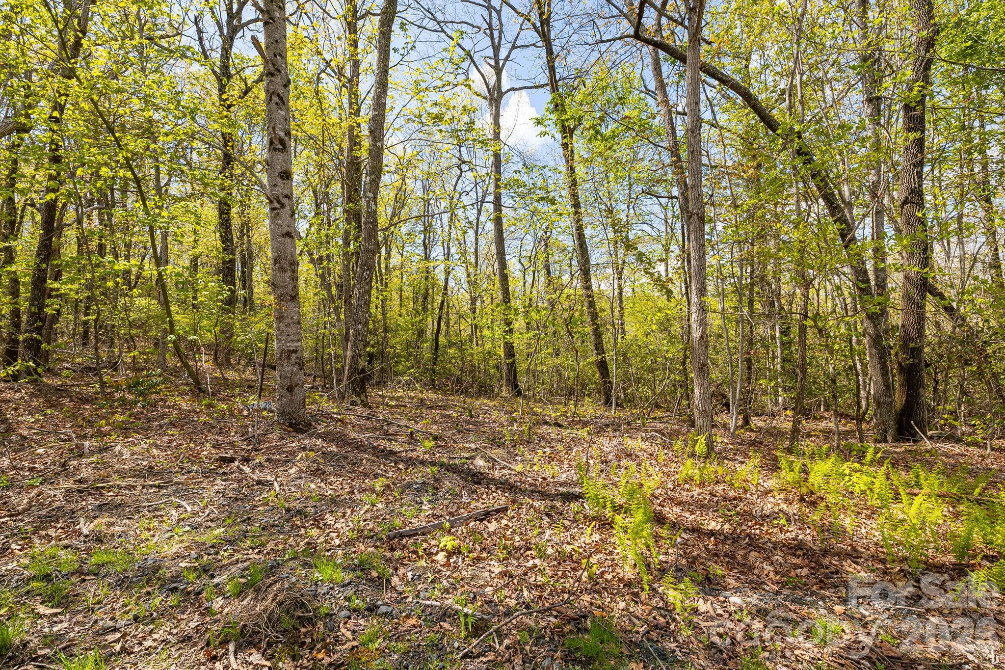 Lot 27 Trails End Road, Unit 27 Spruce Pine, NC 28777 - Photo 5 of 42