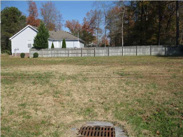 0 Ziegler Road Chattanooga, TN 37421 - Photo 3 of 5 Additional Photo