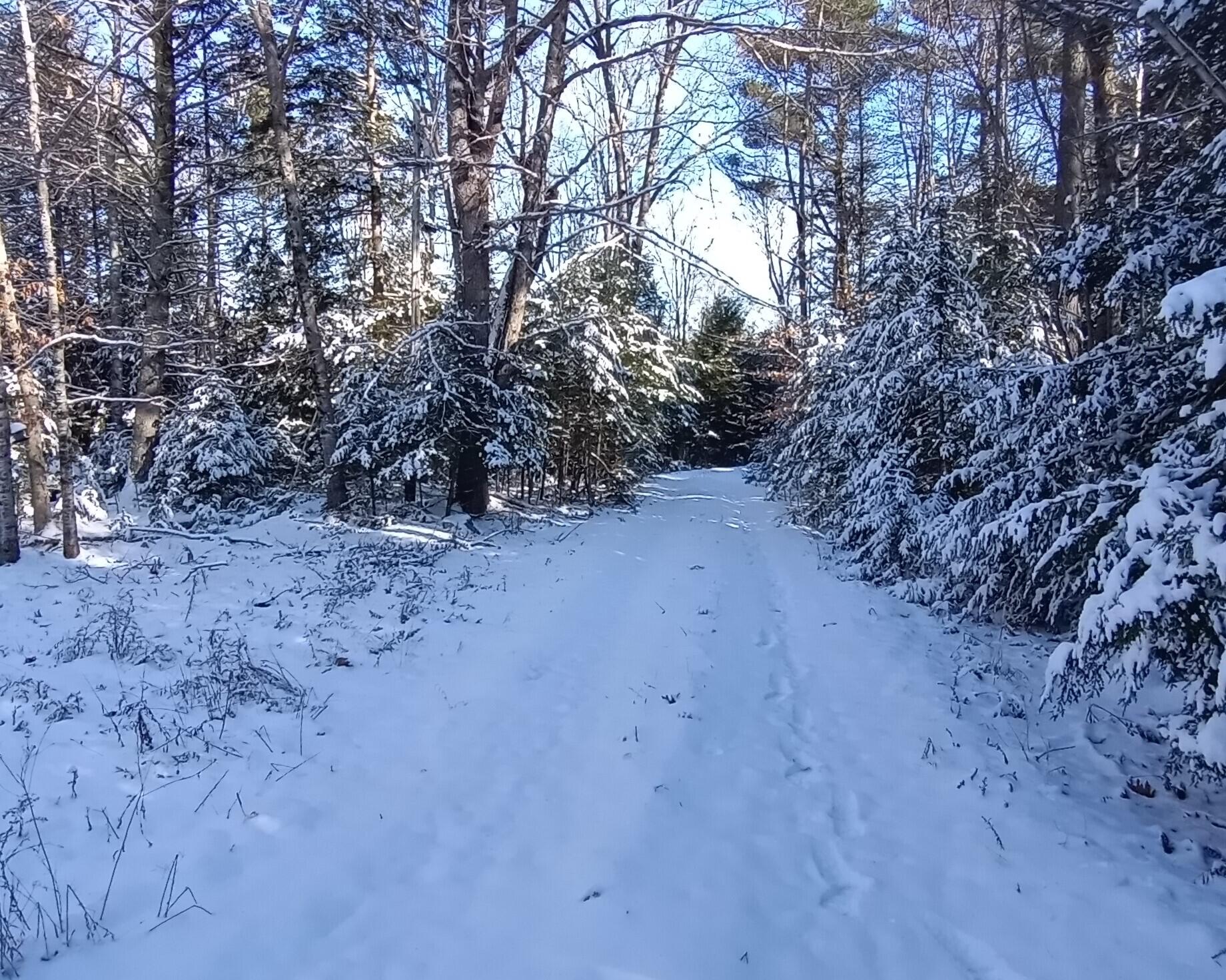40 Forest Road Newcastle, ME 04553 - Photo 17 of 17 Forest 20