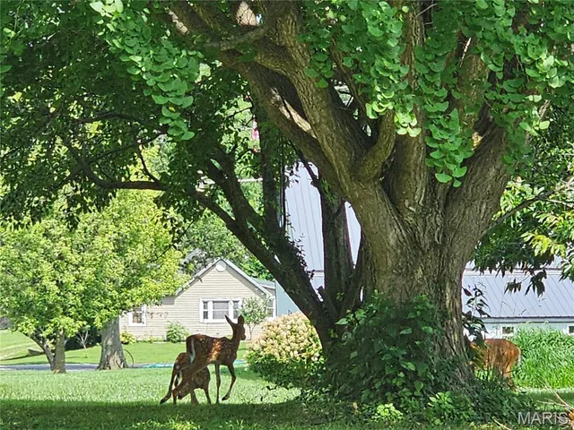 $149,900 | 200 West Kinkead Road, Hillsboro, IL 62049