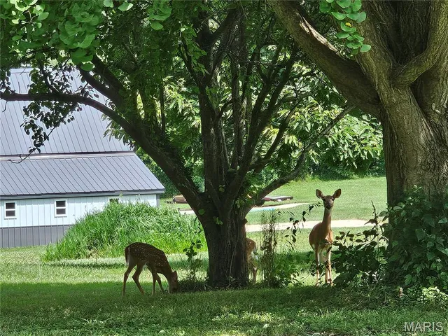 $149,900 | 200 West Kinkead Road, Hillsboro, IL 62049