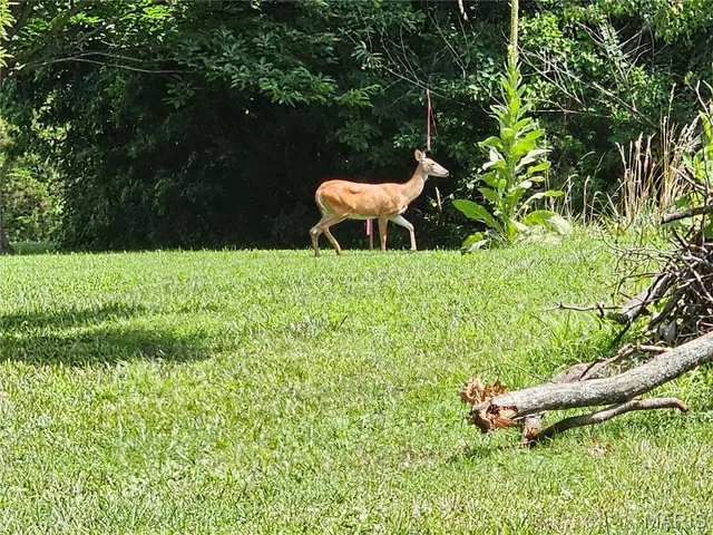 $149,900 | 200 West Kinkead Road, Hillsboro, IL 62049