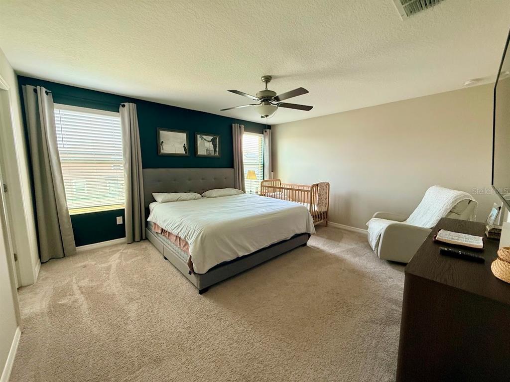 9712 Lemon Drop Loop Ruskin, FL 33573 - Photo 16 of 34 Gallery Image 16