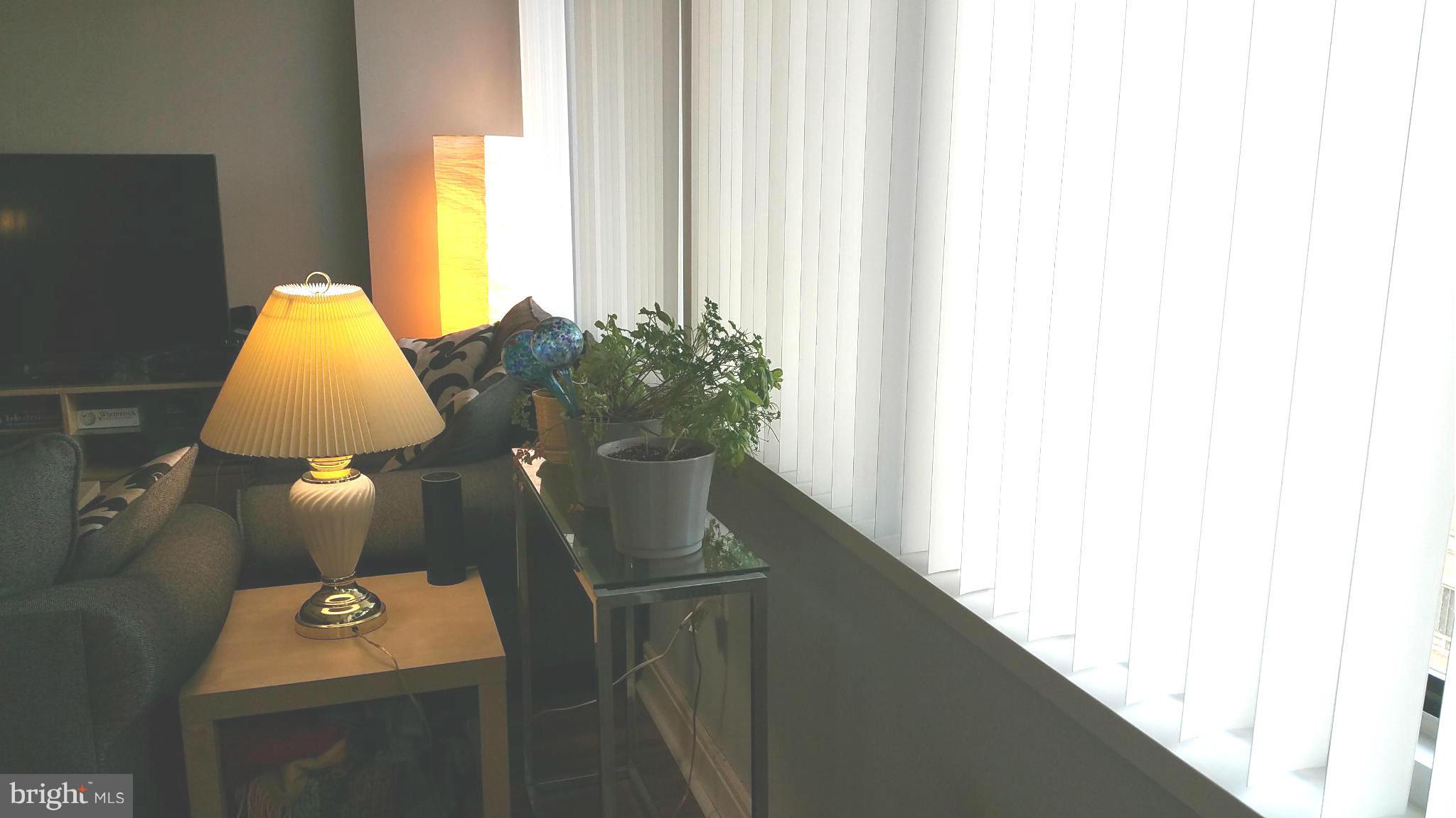 800 4th Street Southwest, Unit N414 Washington, DC 20024 - Photo 12 of 24 Huge windows. Abundant light!