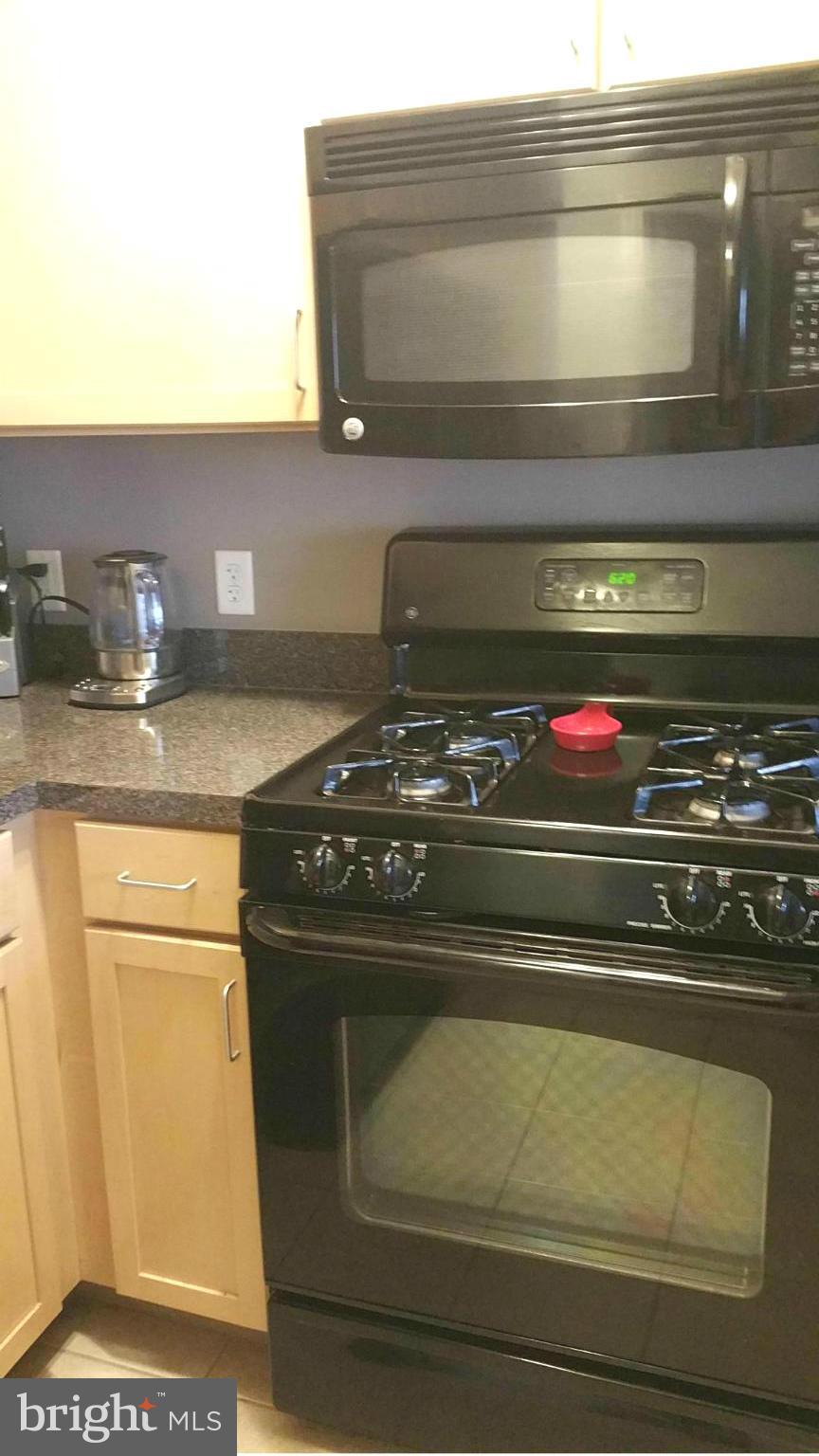800 4th Street Southwest, Unit N414 Washington, DC 20024 - Photo 6 of 24 Gas cooking!