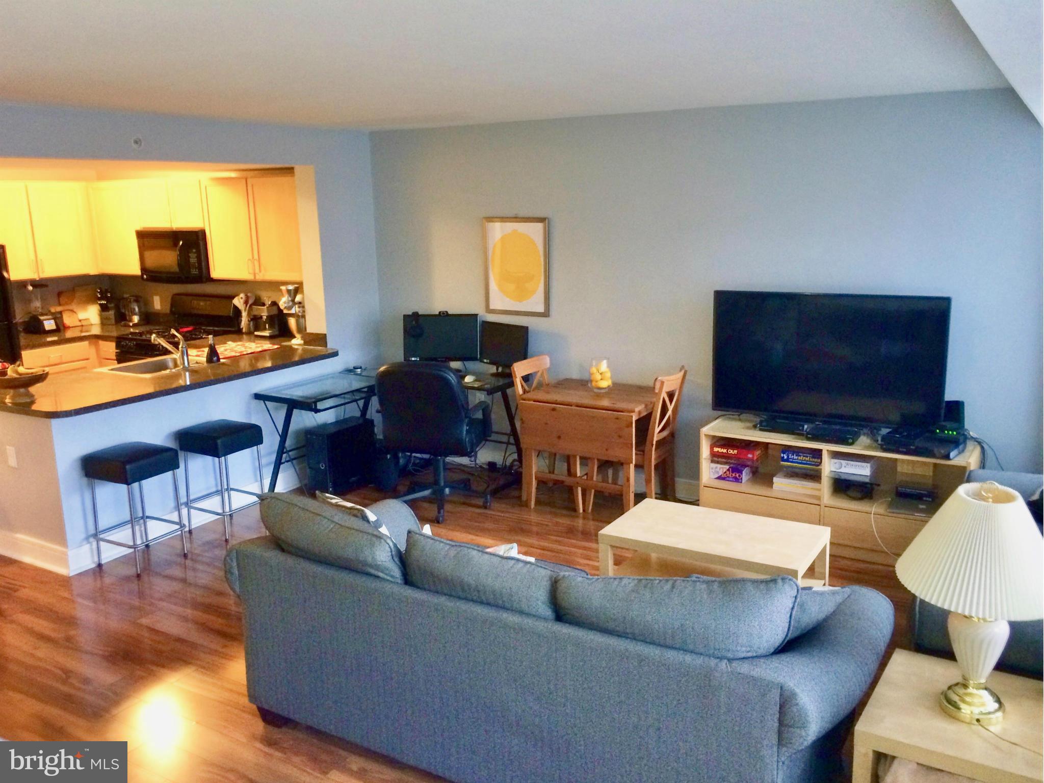 800 4th Street Southwest, Unit N414 Washington, DC 20024 - Photo 7 of 24 Living area