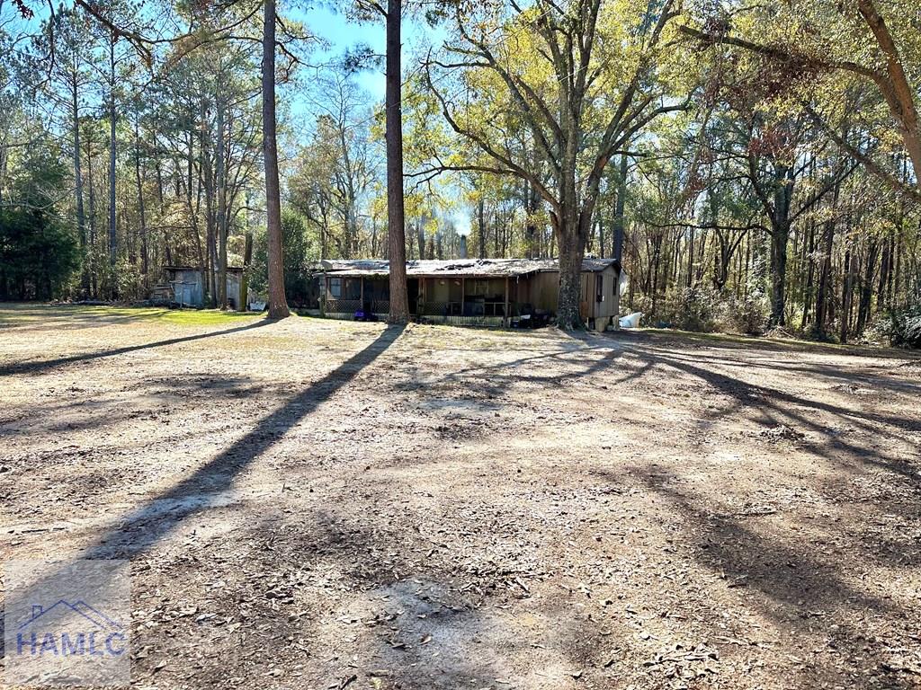 172 Arrowhead Road Abbeville, GA 31001 - Photo 3 of 22 Gallery Image 3