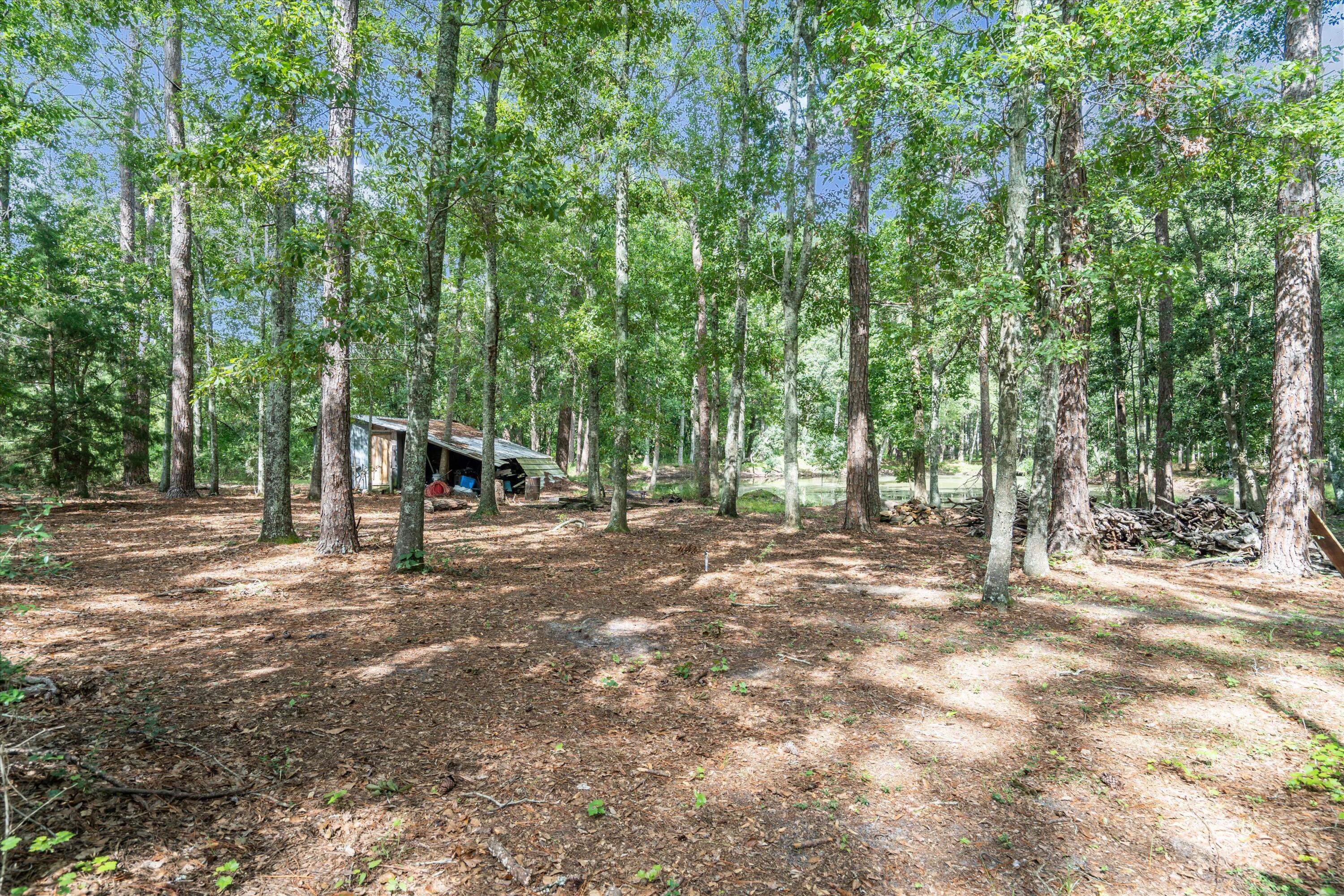 80 Wain Huckabee Road Laurel Hill, FL 32567 - Photo 40 of 41 38-F8_80WainHuckabeeRd_044