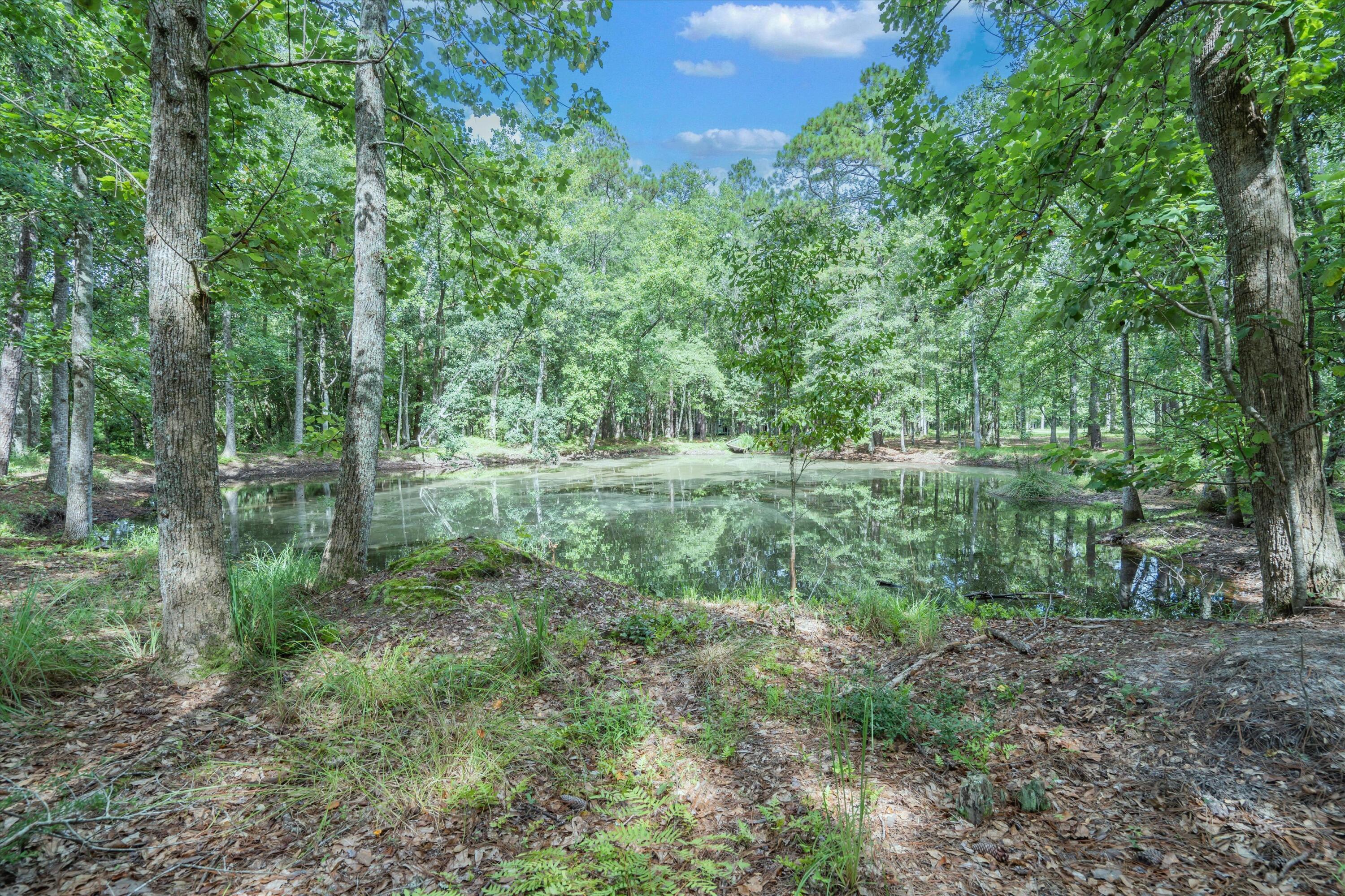 80 Wain Huckabee Road Laurel Hill, FL 32567 - Photo 41 of 41 39-F8_80WainHuckabeeRd_045