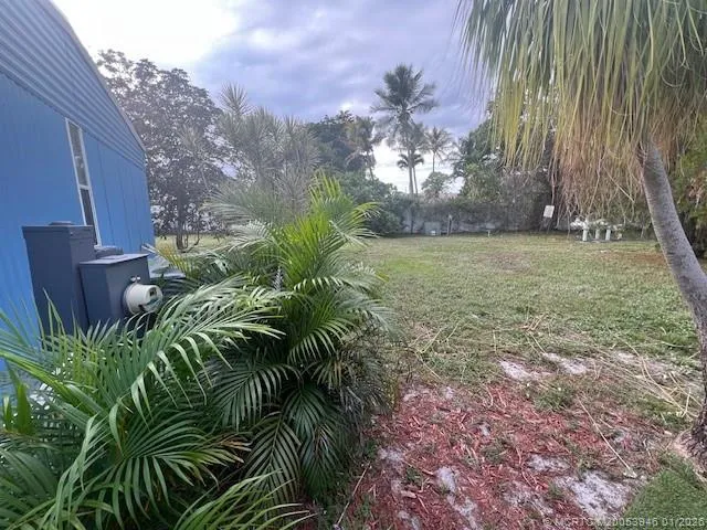 a view of a yard with plants and a bench