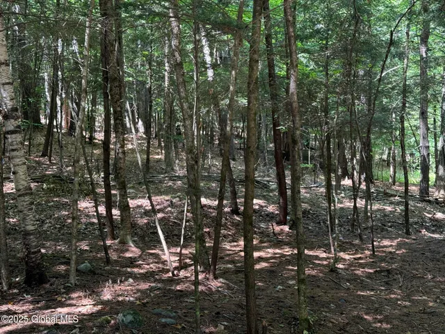 $99,900 | L93 Hidden Valley Road, Unit LOT 2, Lake Luzerne, NY 12846