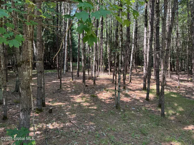 $99,900 | L93 Hidden Valley Road, Unit LOT 2, Lake Luzerne, NY 12846