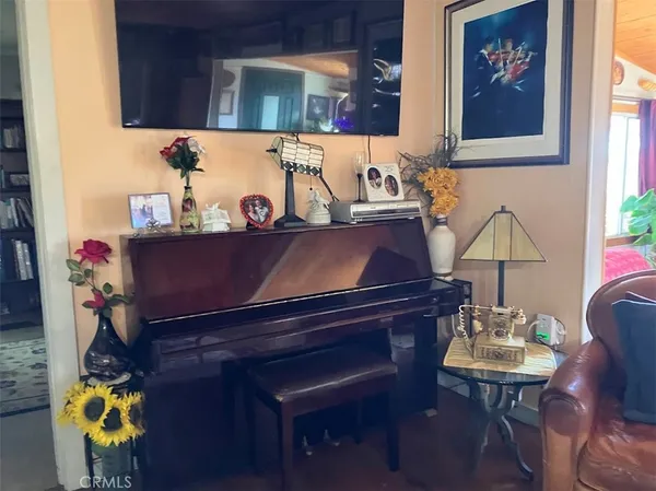 a living room with furniture a potted plant and a large window