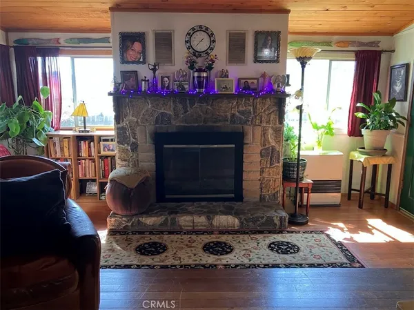 a picture of flowers