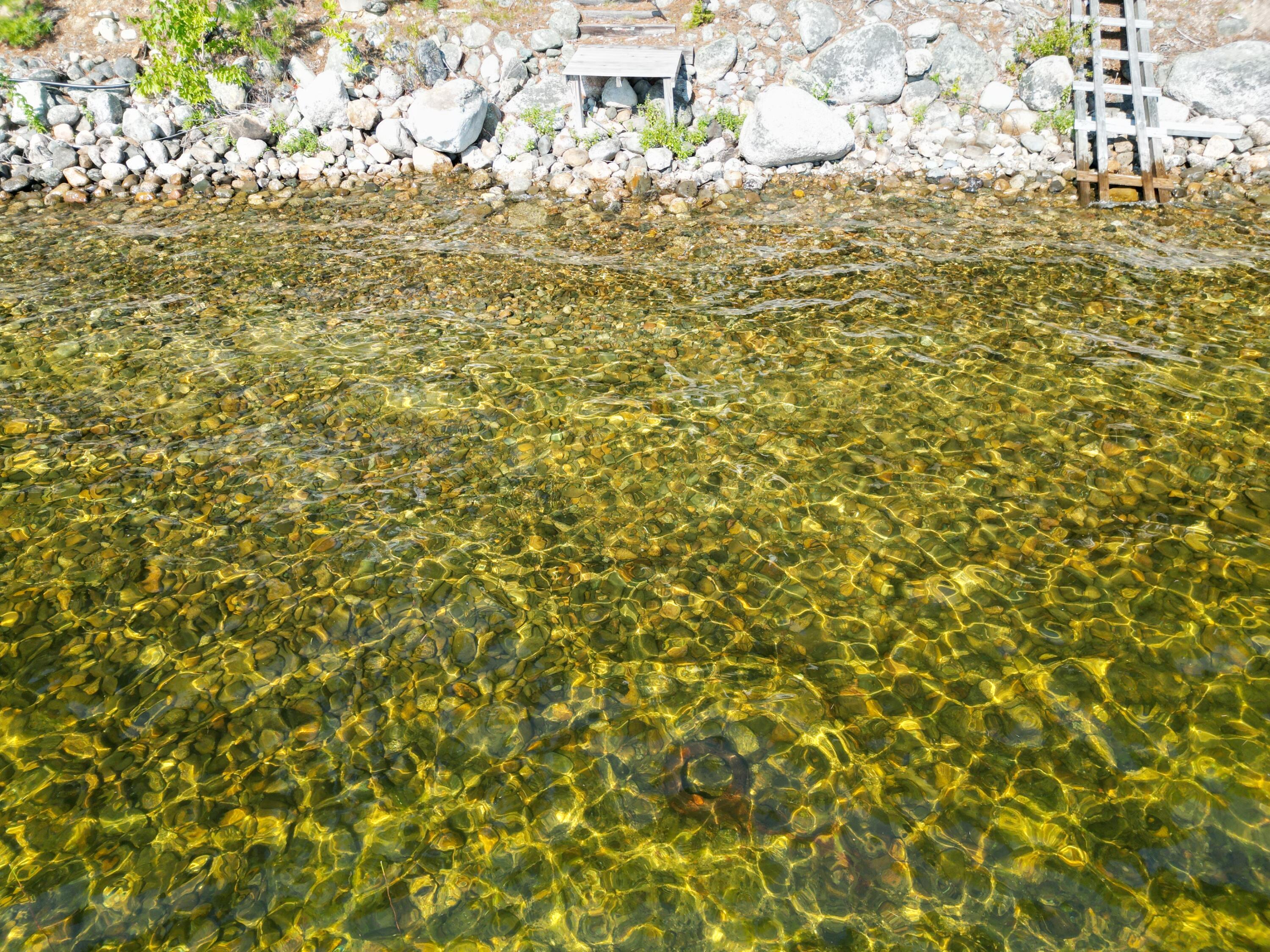 Lot 49-50 East Shore Road Springfield, ME 04487 - Photo 8 of 28 DJI_0923