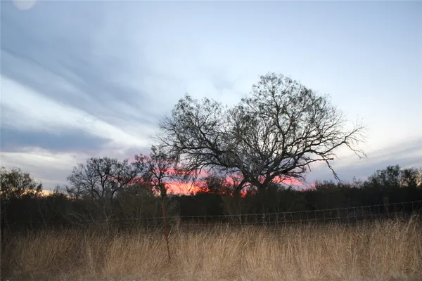 a view of lake with a tree in background