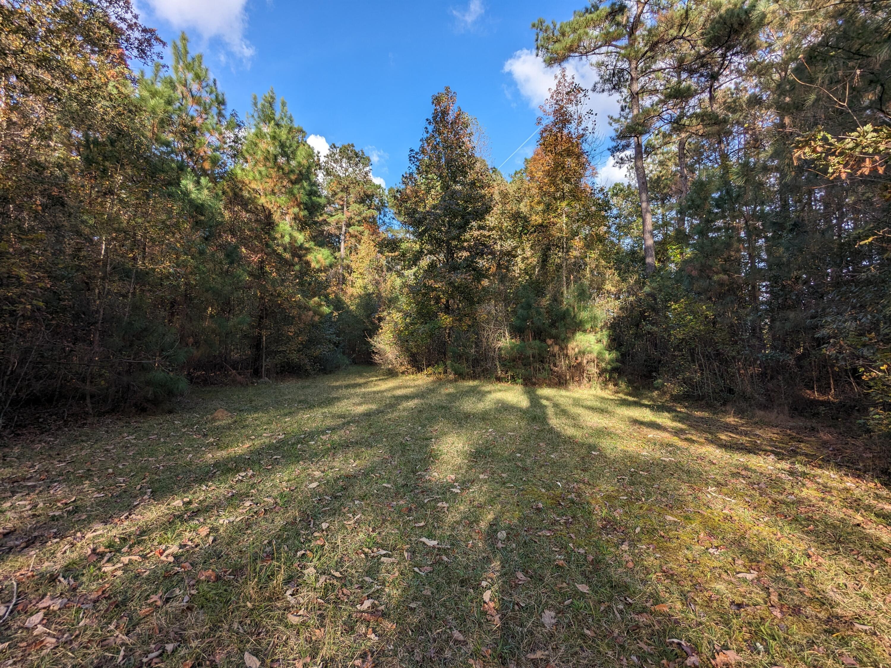 565 Fourwind Road Holly Hill, SC 29059 - Photo 11 of 17 PXL_20231117_202731772