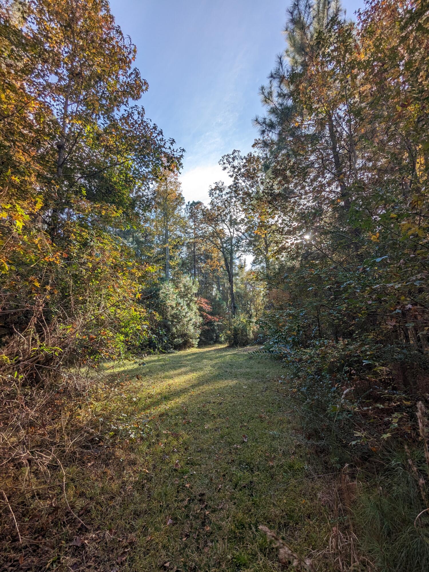 565 Fourwind Road Holly Hill, SC 29059 - Photo 12 of 17 PXL_20231117_202807095