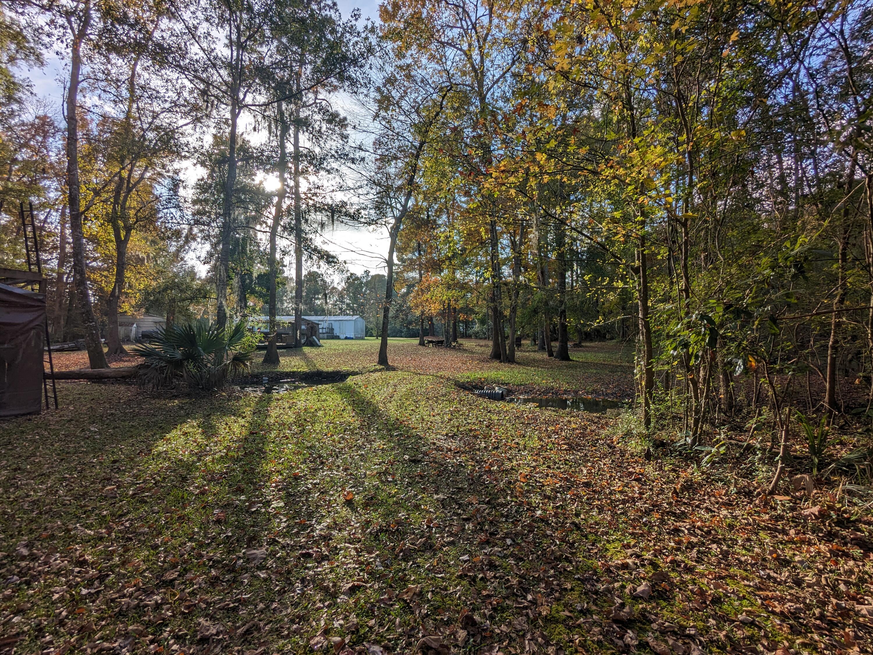 565 Fourwind Road Holly Hill, SC 29059 - Photo 13 of 17 PXL_20231117_202922372